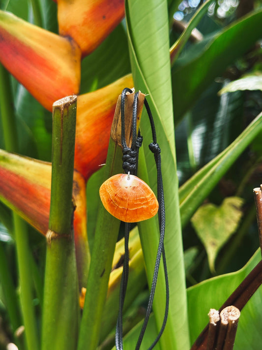 Spondy Necklace 8