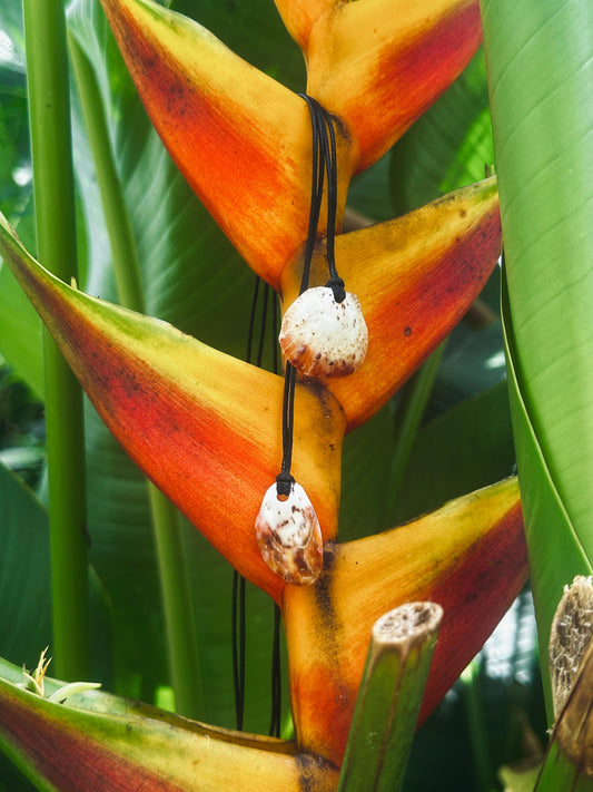 Spondy Necklace Pair 2