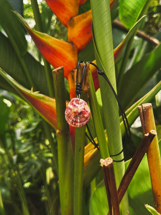 Spondy Necklace 10