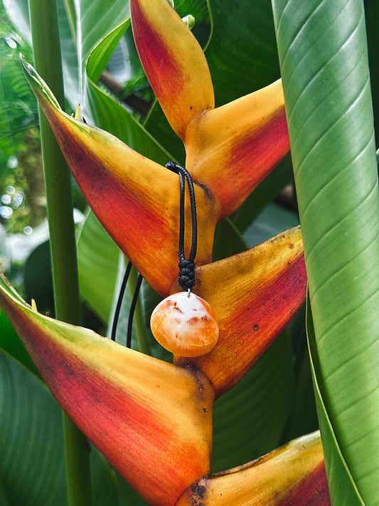 Spondy Necklace 3