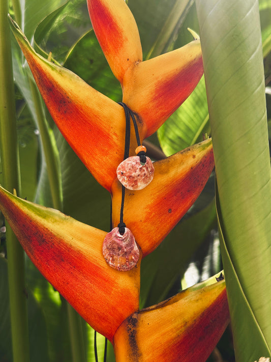 Spondy Necklace Pair 1