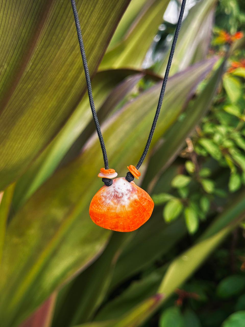 Spondy Shell Necklace 1